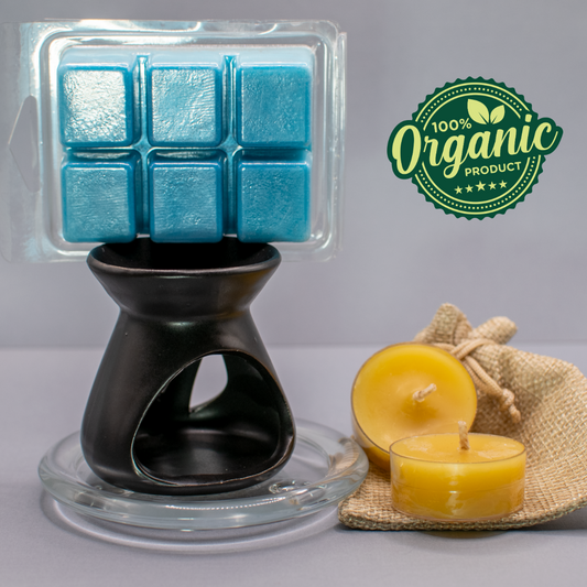 Juego de regalo de calentador de cera de cerámica negra hecho a mano